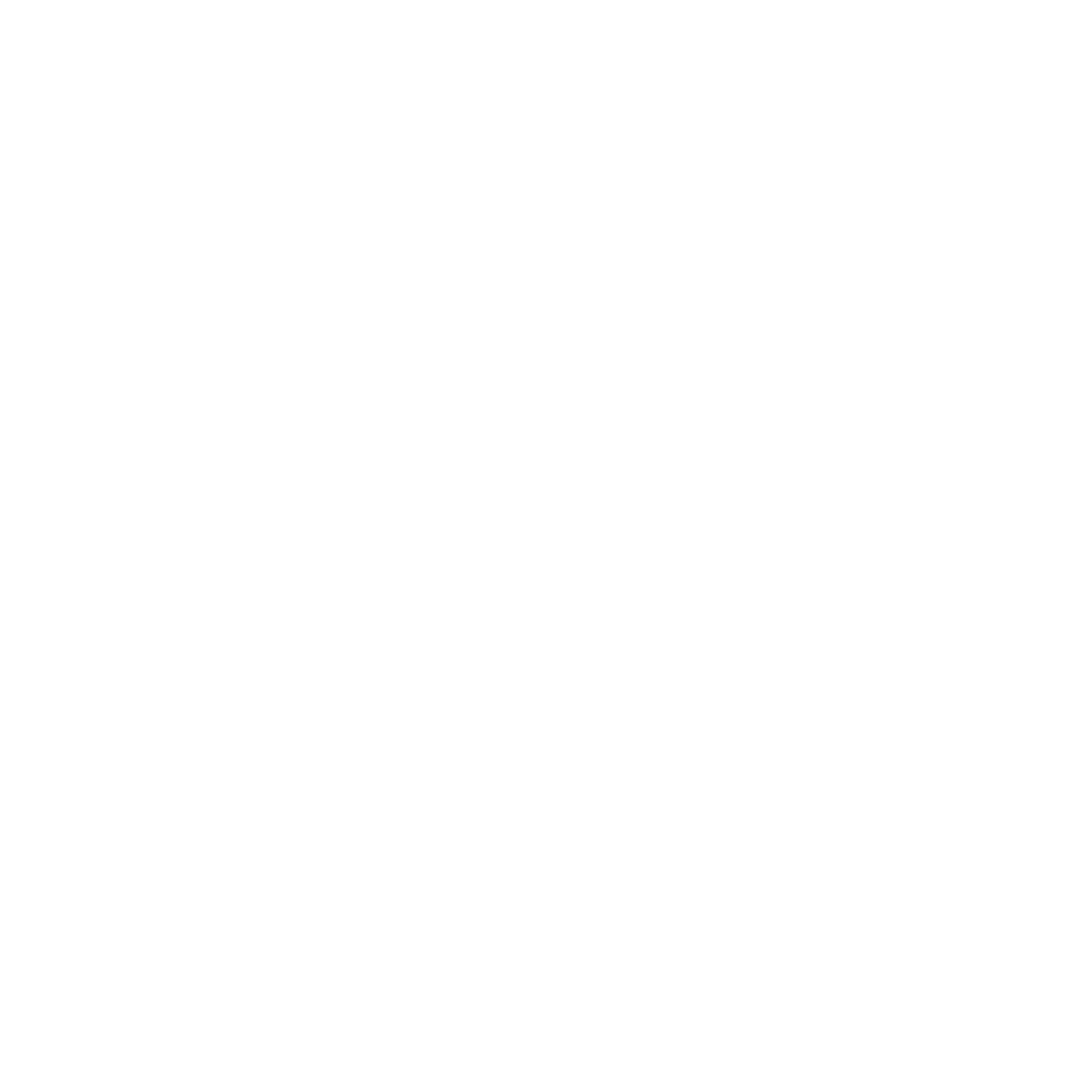 Women Security and Peace Building